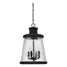 Capital Lighting Fixture Company - Tory Outdoor Hanging Lantern - 926542BK - Canada Light Shop