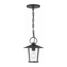 Crystorama - Andover Outdoor Chandelier - AND-9203-CL-MK - Canada Light Shop