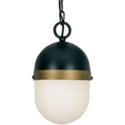 Crystorama - Capsule One Light Outdoor Pendant - CAP-8505-MK-TG - Canada Light Shop
