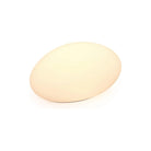 DALS Lighting - DCPro Smart Landscape Rock Lights - DCP-RK18 - Canada Light Shop