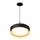 ET2 Lighting - Echo LED Pendant - E51013-BKGLD - Canada Light Shop
