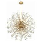 Eurofase - Dendelio Chandelier - 46762-016 - Canada Light Shop