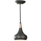 Generation Lighting - Belle Pendant - F2706/1BS - Canada Light Shop