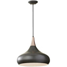Generation Lighting - Belle Pendant - F2706/1DBZ - Canada Light Shop