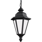 Generation Lighting - Brentwood Outdoor Pendant - 69025-12 - Canada Light Shop