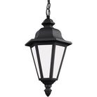 Generation Lighting - Brentwood Outdoor Pendant - 69025EN3-12 - Canada Light Shop