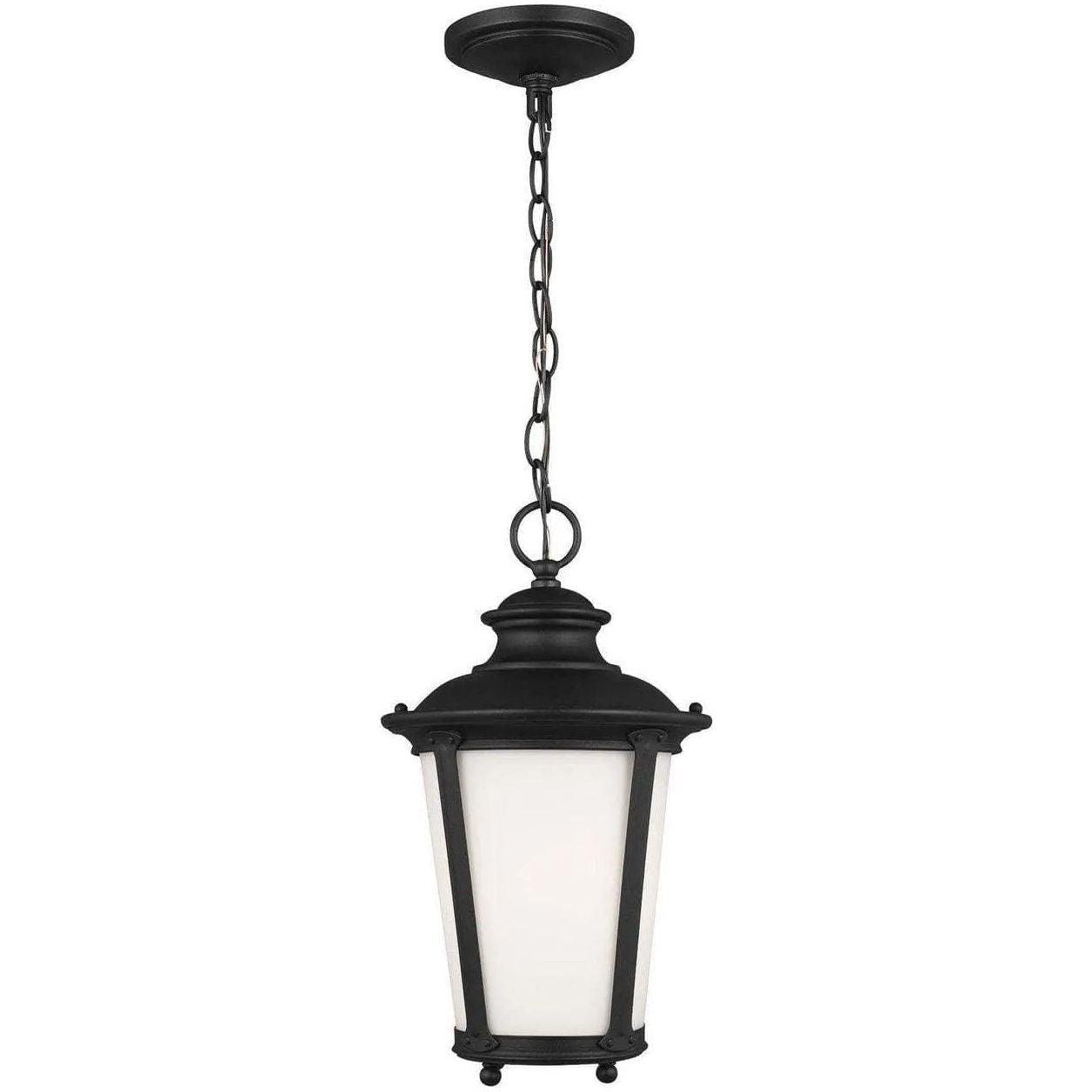 Generation Lighting - Cape May Outdoor Pendant - 62240EN3-12 - Canada Light Shop