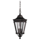 Generation Lighting - Cotswold Lane Hanging Lantern - OL5411GBZ - Canada Light Shop