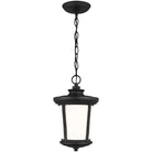 Generation Lighting - Eddington Outdoor Pendant - 6219301-12 - Canada Light Shop