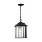 Generation Lighting - Kent Outdoor Pendant - 60031-12 - Canada Light Shop