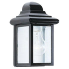 Generation Lighting - Mullberry Hill Outdoor Wall Lantern - 8588-12 - Canada Light Shop