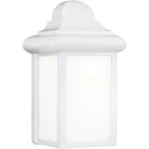 Generation Lighting - Mullberry Hill Outdoor Wall Lantern - 8788-15 - Canada Light Shop