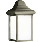 Generation Lighting - Mullberry Hill Outdoor Wall Lantern - 8788-155 - Canada Light Shop