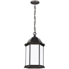 Generation Lighting - Sevier Outdoor Pendant - 6238751-71 - Canada Light Shop
