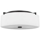 Generation Lighting - Sunset Drive Flush Mount - FM312BS - Canada Light Shop