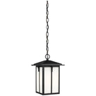 Generation Lighting - Tomek Outdoor Pendant - 6252701-12 - Canada Light Shop