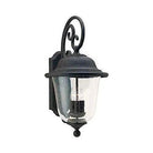 Generation Lighting - Trafalgar Outdoor Wall Lantern - 8460-46 - Canada Light Shop