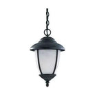 Generation Lighting - Yorktown Outdoor Pendant - 60048-185 - Canada Light Shop
