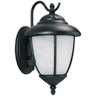 Generation Lighting - Yorktown Outdoor Wall Lantern - 84050-12 - Canada Light Shop