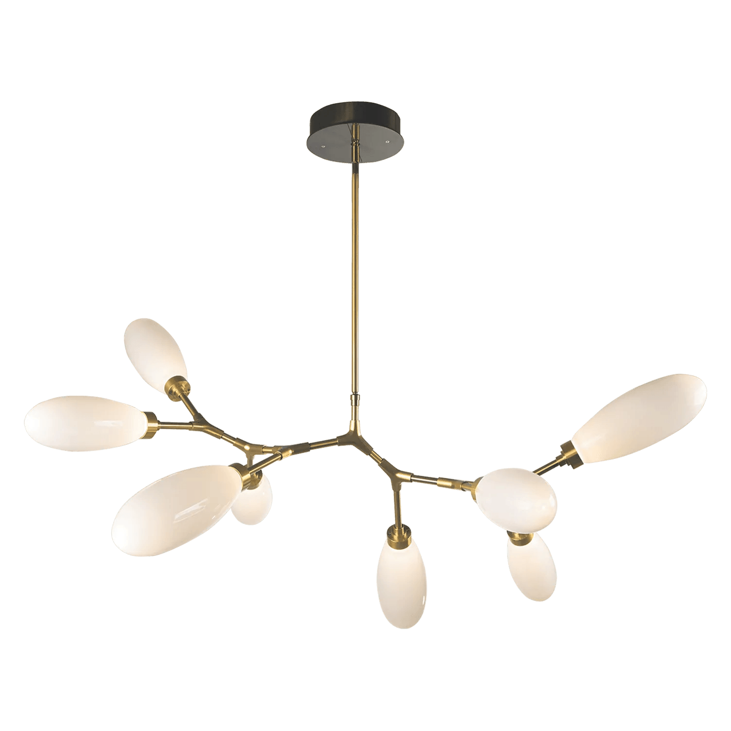 Hammerton Studio - Fiori Modern Branch, 8-Light - PLB0071-BB-HB-WL-001-L3 - Canada Light Shop