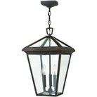 Hinkley Lighting - Alford Place 12-Inch Outdoor Hanging Lantern - 2562OZ - Canada Light Shop