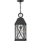Hinkley Lighting - Briar Hanging Lantern - 23302MB - Canada Light Shop