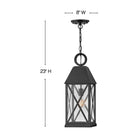 Hinkley Lighting - Briar Hanging Lantern - 23302MB - Canada Light Shop
