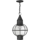 Hinkley Lighting - Cape Cod 11-Inch Outdoor Hanging Lantern - 2202DZ - Canada Light Shop