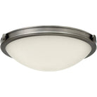 Hinkley Lighting - Maxwell 19-Inch Flush Mount - 3783AN - Canada Light Shop