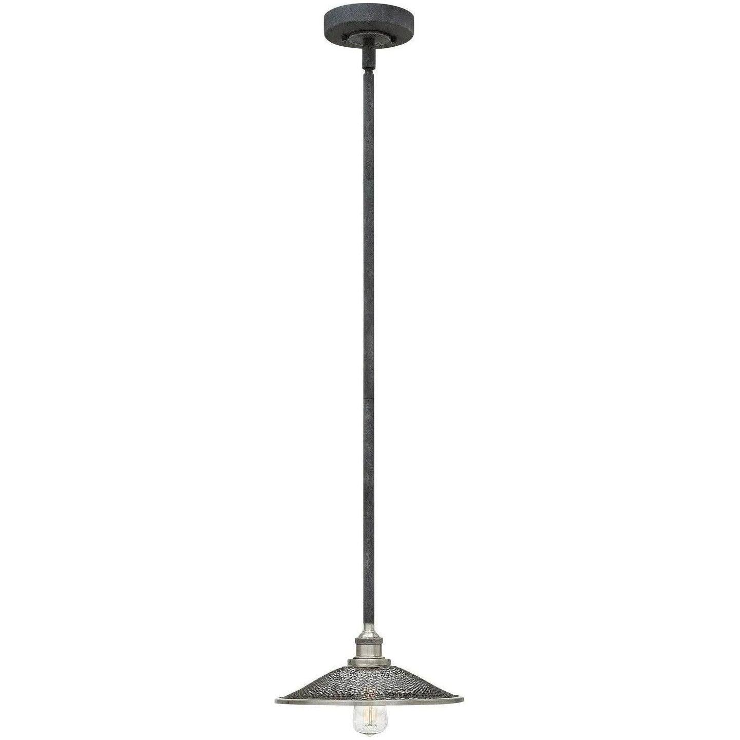 Hinkley Lighting - Rigby 10-Inch Pendant - 4367DZ - Canada Light Shop