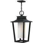 Hinkley Lighting - Sullivan 11-Inch Outdoor Hanging Lantern - 1742BK - Canada Light Shop