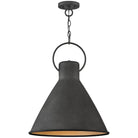 Hinkley Lighting - Winnie 18-Inch Pendant - 3555DZ - Canada Light Shop