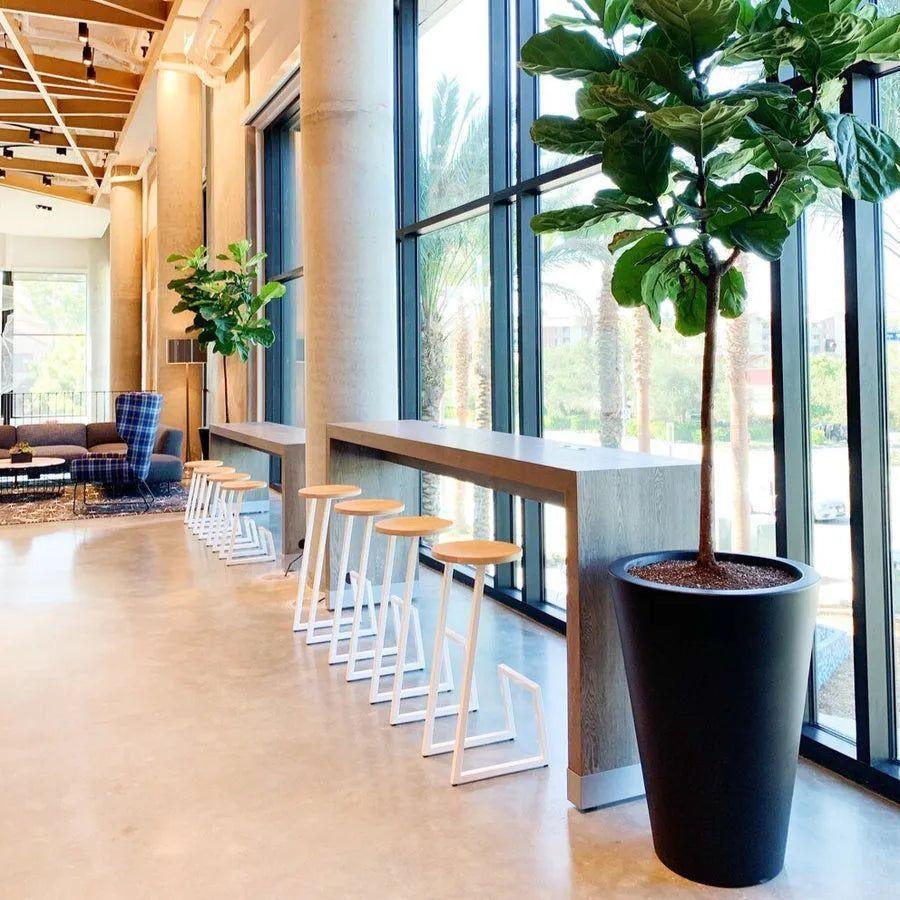 Hollis+Morris - Corktown Stool - CORKBAR-OKB-BK - Canada Light Shop