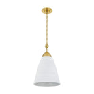 Hudson Valley Lighting - Bronson Pendant - BKO1500-AGB/WP - Canada Light Shop