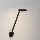 Koncept - Focaccia Solo LED Desk Lamp - FCD-1-MTB-WAL - Canada Light Shop