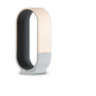 Koncept - mr.GO! LED Desk Lamp - NLG-S-SGY - Canada Light Shop