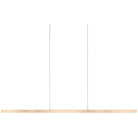 Kuzco Lighting - Vega LED Linear Pendant - LP10356-BG - Canada Light Shop