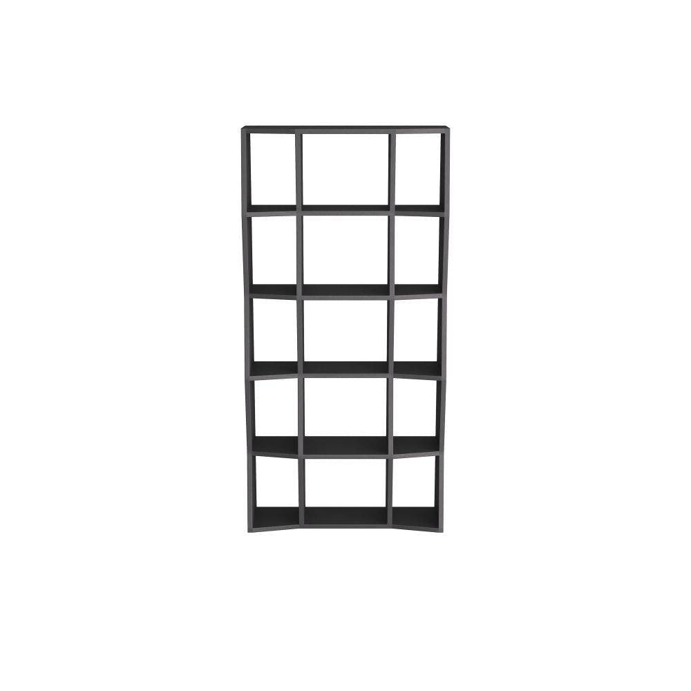 Arteriors - FGS03 - Bookcase - Belen - Ebony