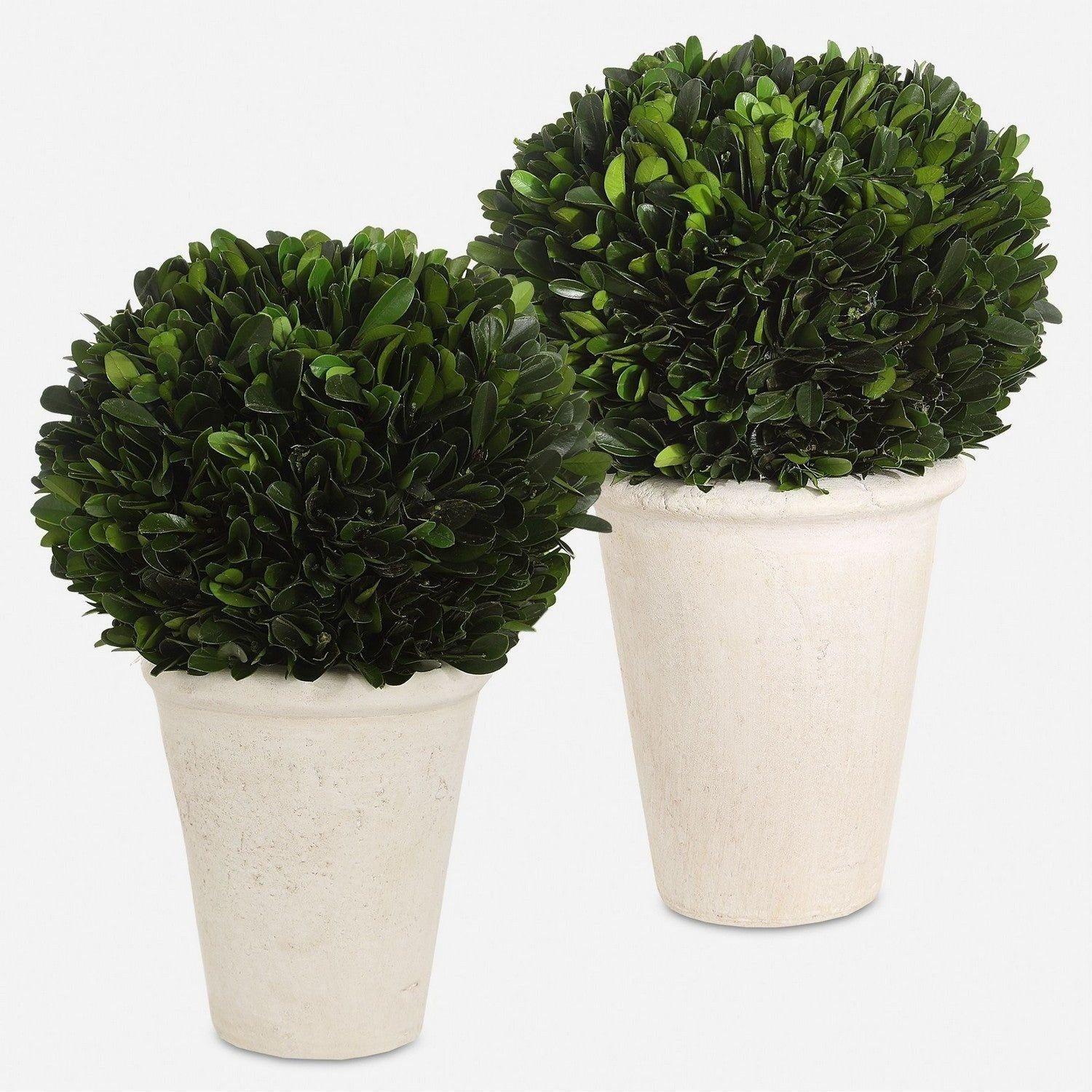 The Uttermost - Preserved Boxwood Domes Set of 2 - 60224 - Canada Light Shop
