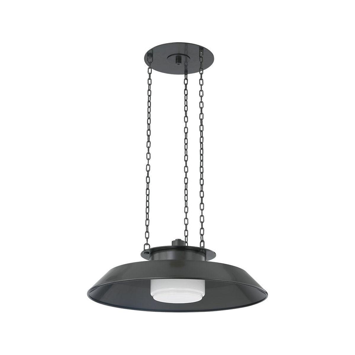 Hudson Valley Lighting - Woodrow Pendant - 8822-DB - Canada Light Shop