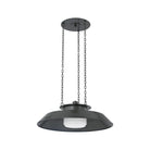 Hudson Valley Lighting - Woodrow Pendant - 8822-DB - Canada Light Shop