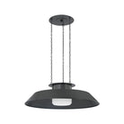 Hudson Valley Lighting - Woodrow Pendant - 8832-DB - Canada Light Shop