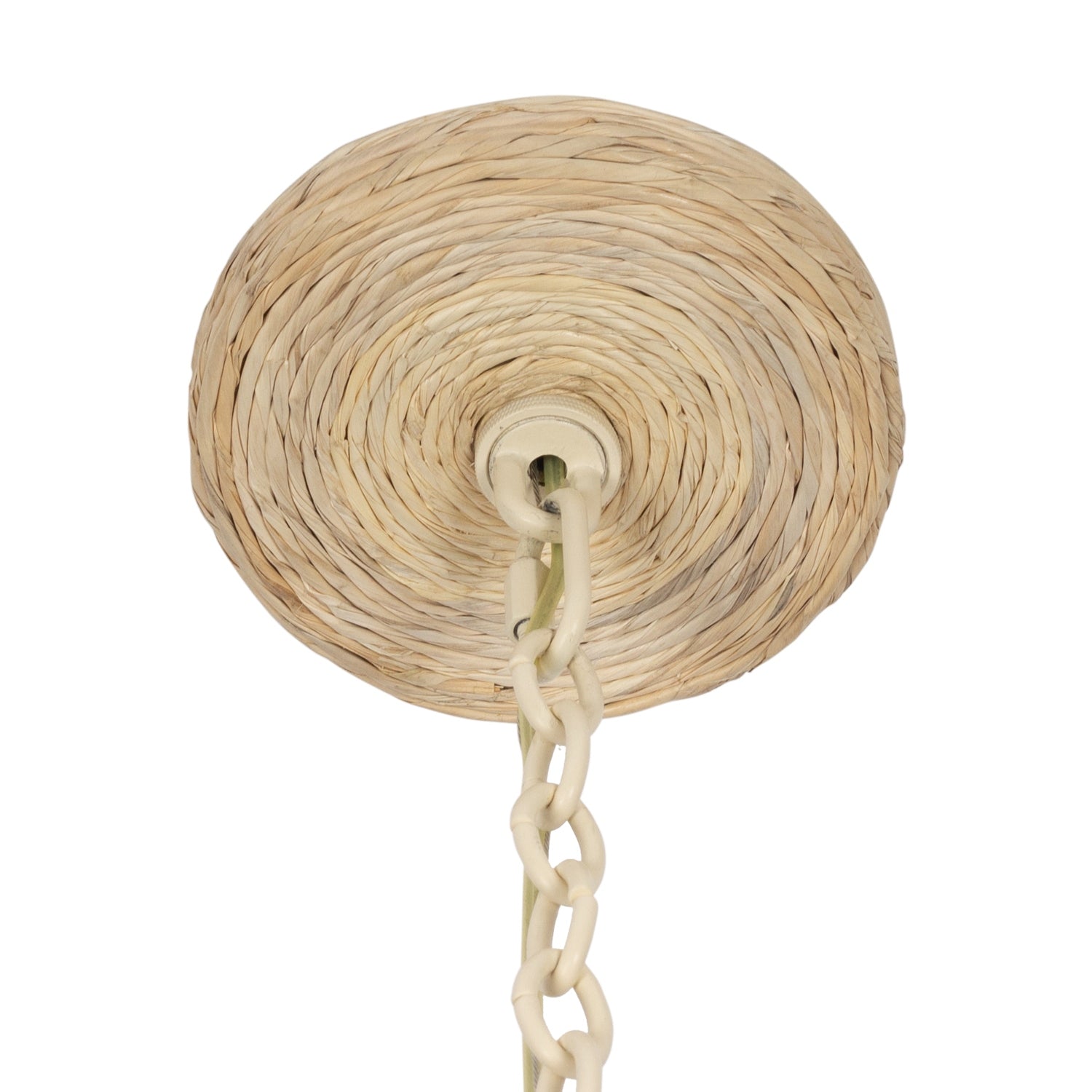 Kalco - 527355WIV - Eight Light Chandelier - Reef - Warm Ivory