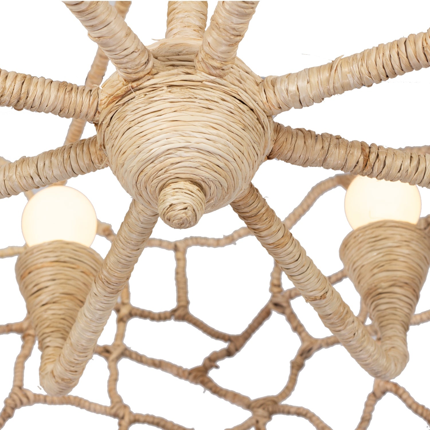 Kalco - 527355WIV - Eight Light Chandelier - Reef - Warm Ivory