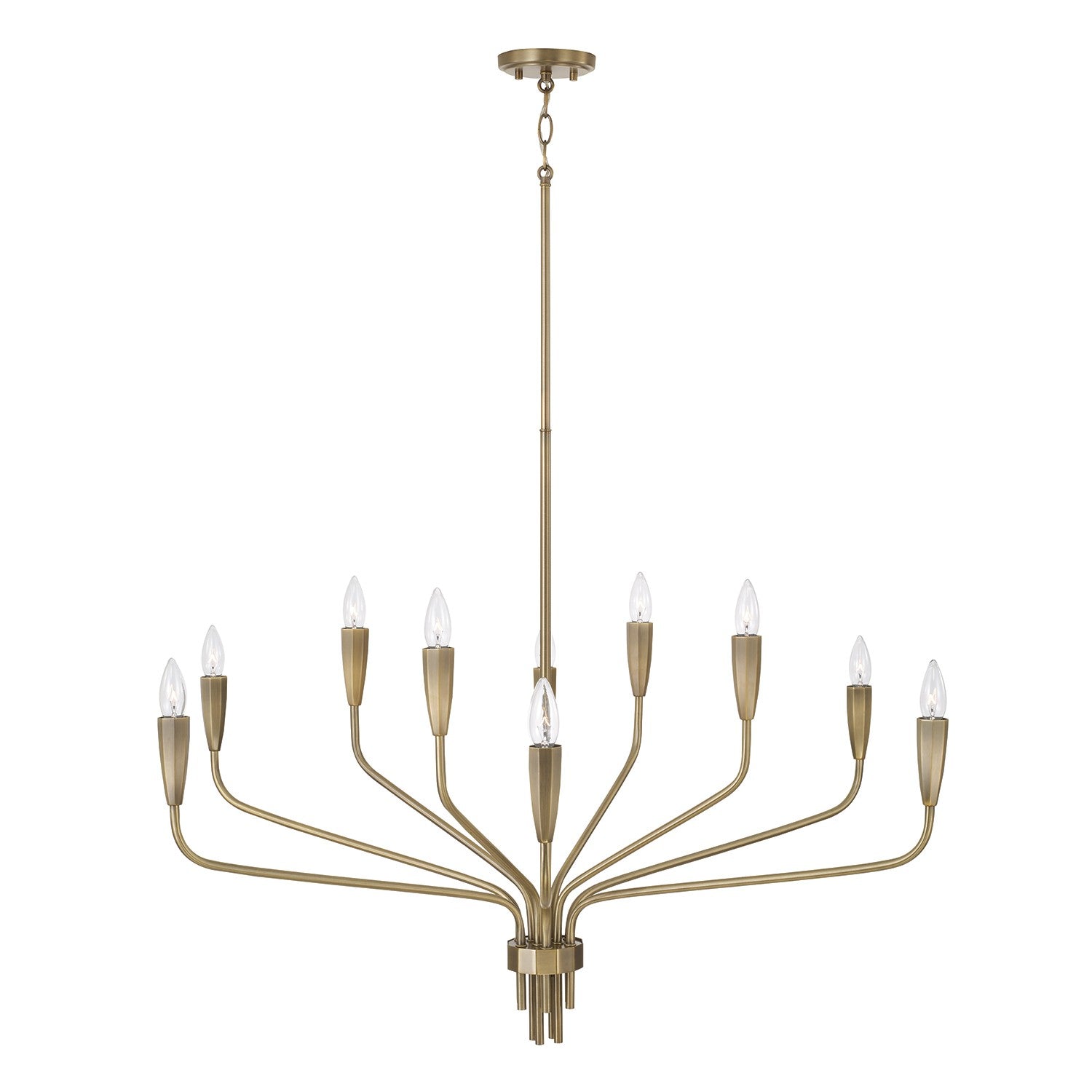 Capital Lighting - 460401ANB - Ten Light Chandelier - Palmer - Antiqued Brass
