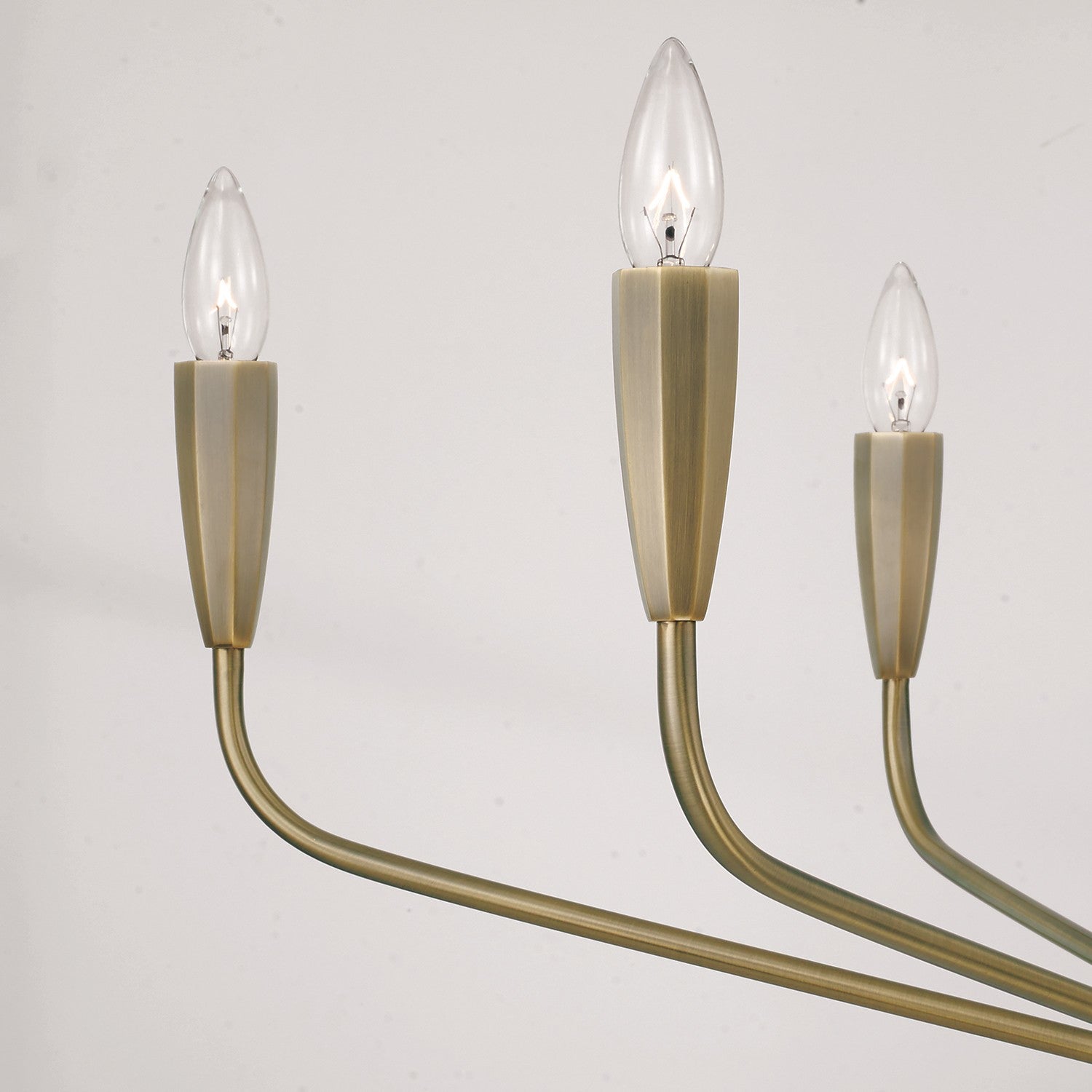 Capital Lighting - 460461ANB - Six Light Chandelier - Palmer - Antiqued Brass