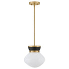 Lark - Lucy LED Pendant - 83607BK-LCB - Canada Light Shop