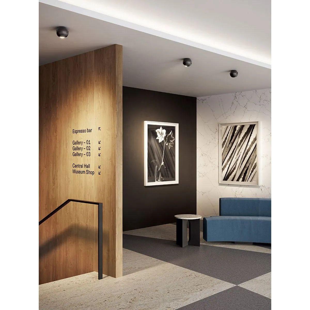 Lodes - Spider Ceiling Lamps - 18340 2030U - Canada Light Shop