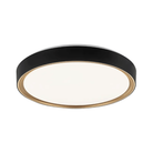 Matteo Lighting - Alamus Flush Mount - M10602BKGL - Canada Light Shop