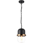 Matteo Lighting - Tillie Pendant - C73801MBCL - Canada Light Shop